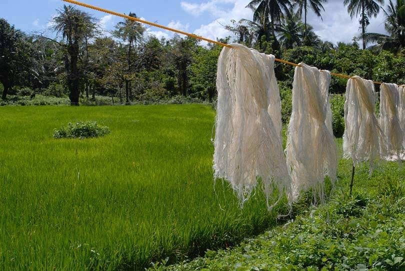 Duurzame textiel innovaties: Piñatex, het veganistische alternatief voor leer Duurzame textiel innovaties: Piñatex, het veganistische alternatief voor leer