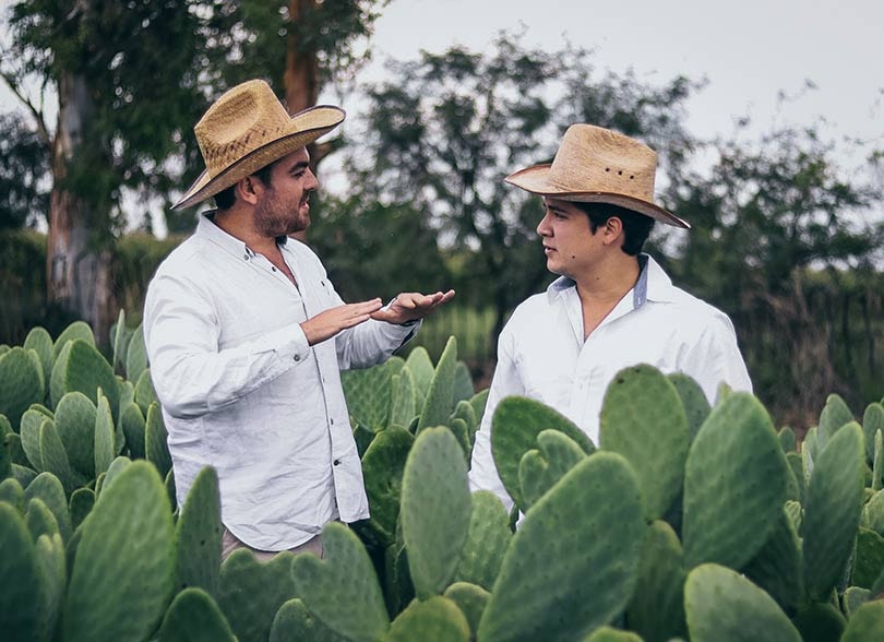Duurzame textiel innovaties: Veganistisch cactusleer uit Mexico Duurzame textiel innovaties: Veganistisch cactusleer uit Mexico
