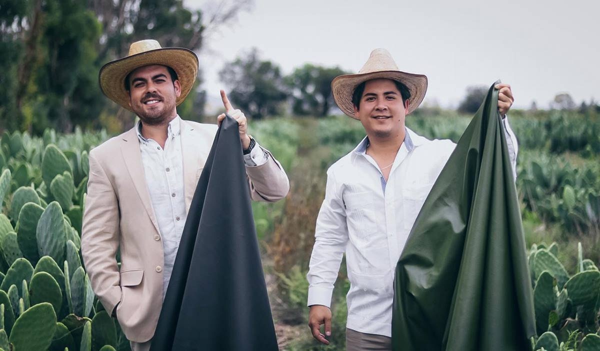 Duurzame textiel innovaties: Veganistisch cactusleer uit Mexico Duurzame textiel innovaties: Veganistisch cactusleer uit Mexico