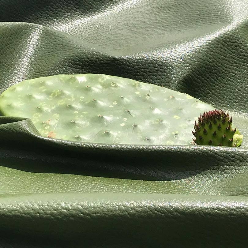 Duurzame textiel innovaties: Veganistisch cactusleer uit Mexico Duurzame textiel innovaties: Veganistisch cactusleer uit Mexico