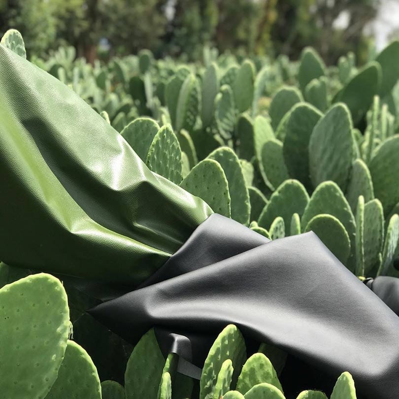 Duurzame textiel innovaties: Veganistisch cactusleer uit Mexico Duurzame textiel innovaties: Veganistisch cactusleer uit Mexico